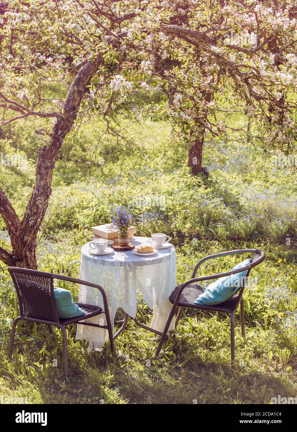 Printemps dans le jardin. Table avec tasses à thé, boho réutiliser vase pot avec Forget Me Not flowers ( Myosotis) et petite pile de livres. L'été, détendez-vous. Banque D'Images
