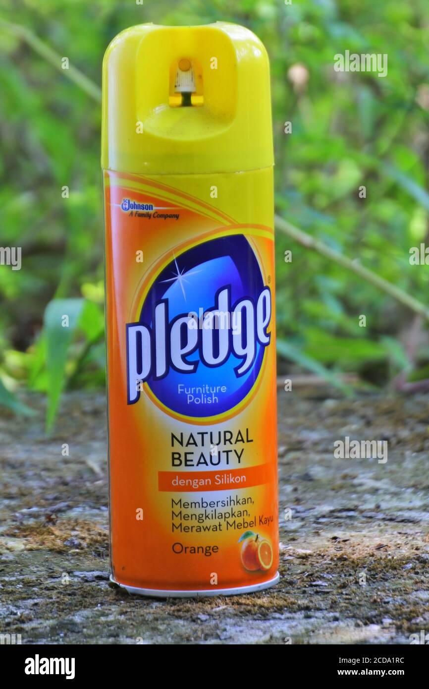 KAB. BLORA, INDONÉSIE - 03 août 2020 : cirages, bois et acier produits par SC Johnson et son Indonesia, 11 août 2020 Banque D'Images