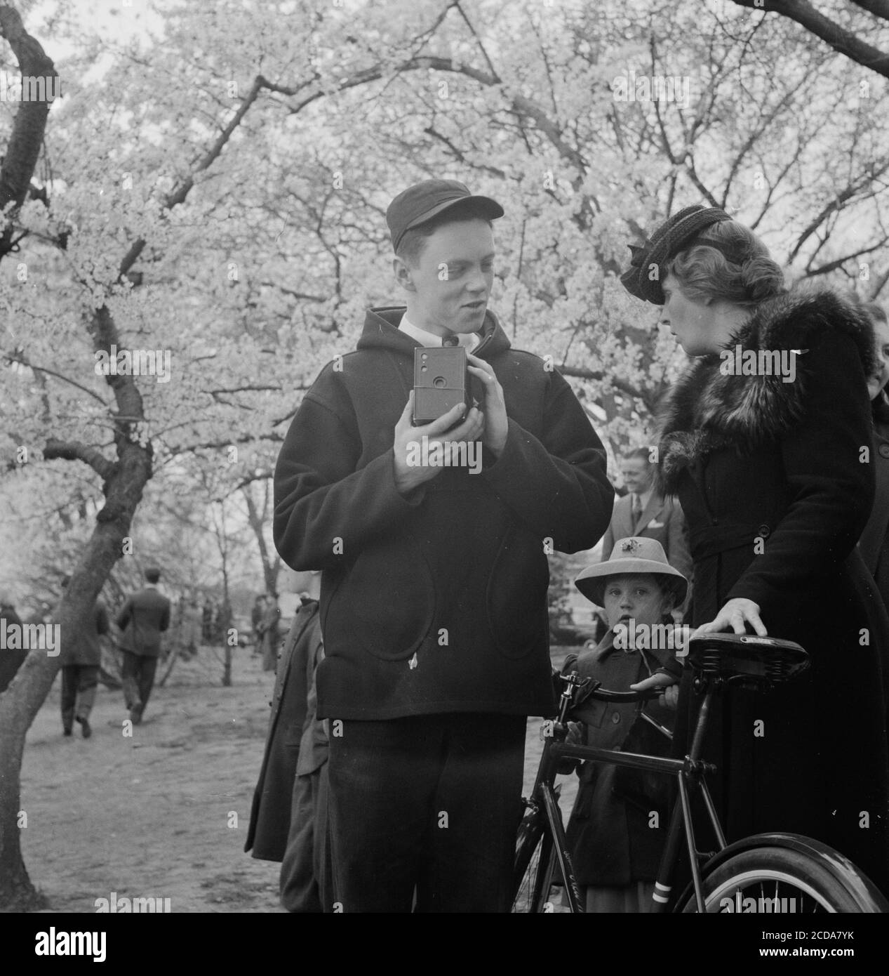 Un homme utilise un Kodak Brownie ou un appareil photo à boîtier similaire pour photographier les cerisiers en fleurs avec sa famille, 1943. Avec la permission de la Bibliothèque du Congrès. () Banque D'Images