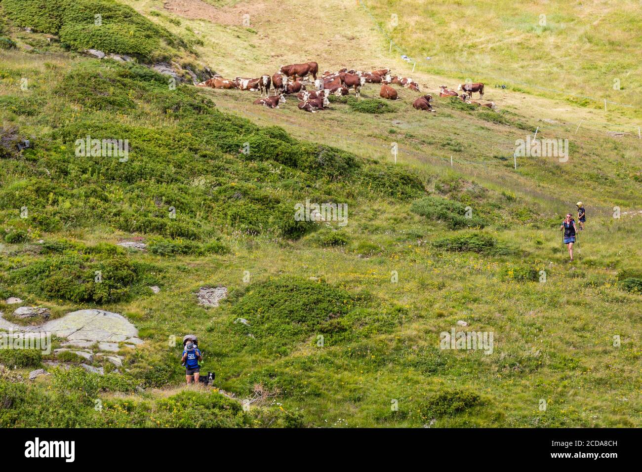 Trekking dans la vallée d'Aoste, emplacement Tet du Mond Banque D'Images