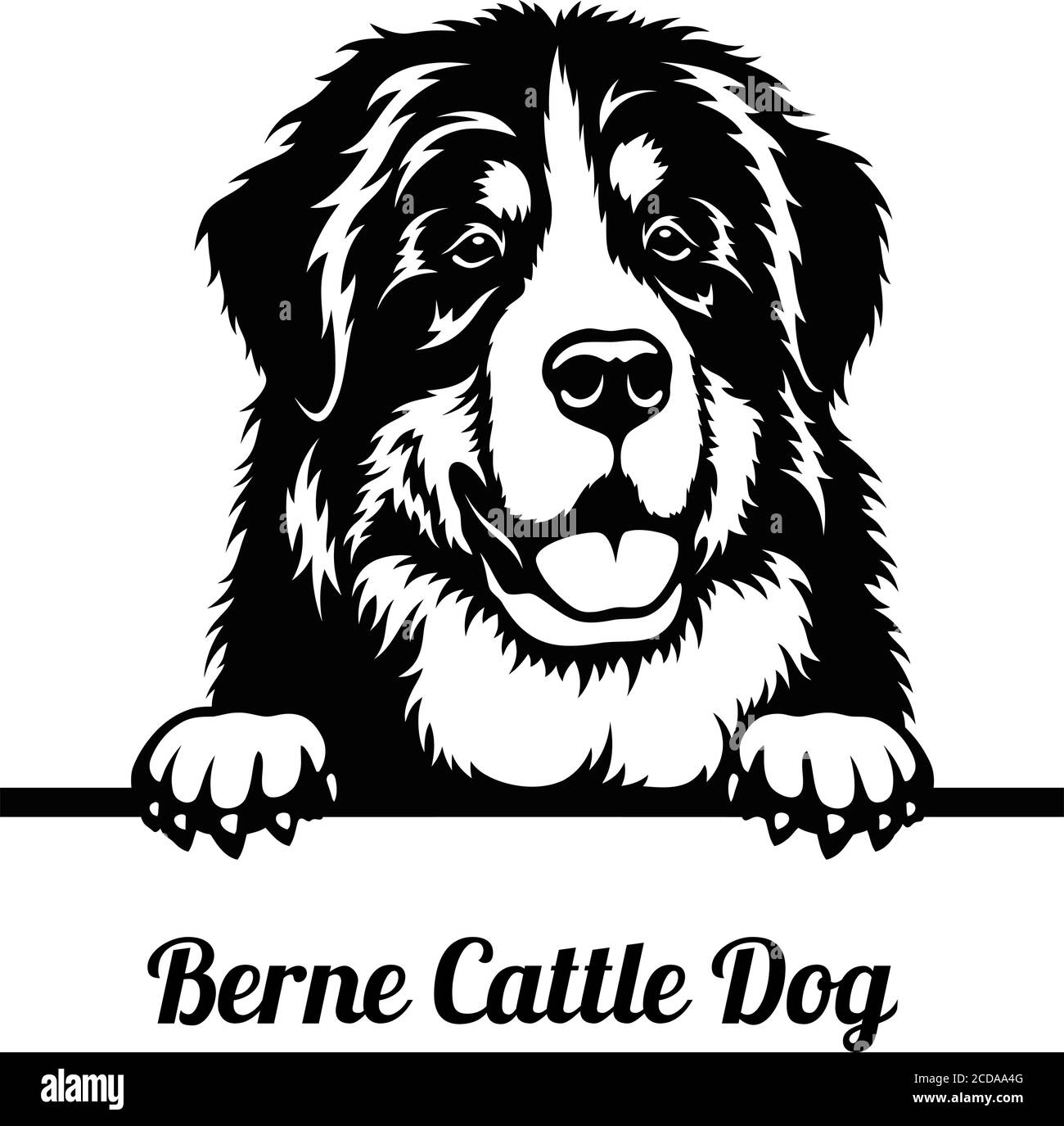 Le chien de péeping est une race de chien de bétail de Berne. Illustration de Vecteur Le chien de péeping est une race de chien de bétail de Berne. Illustration de Vecteur