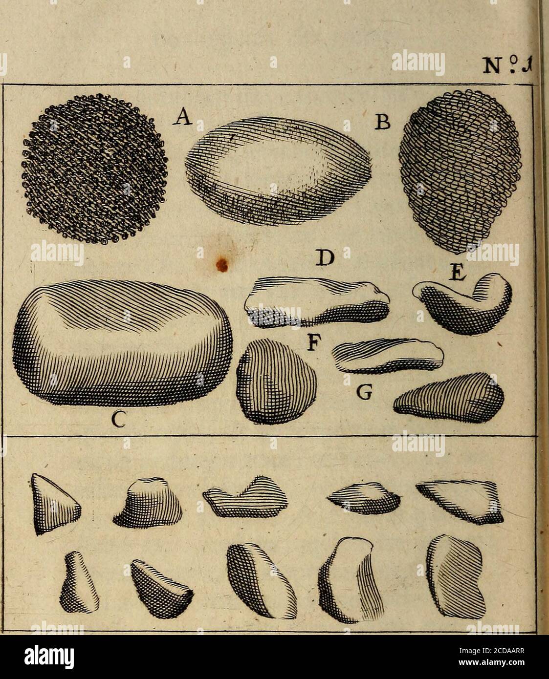 . Traite' de la lithotomie, ou, de l'extraction de la pierre, hors de la vessie : enrichit de chiffres nécessaires pour representer la maniére de sonder, les instruments propres, la malade dans l'opération : la ponction du périnée, et les différentes méthodes de tirer la pierre : avec les appareils, les remedes preserts du calcul, et les medicamens pour les tallers . jpeces des pierres. LA différence qui a pour fonction de conforter le pneu de la grofTeur. Les moteurs de trois, quatre à cinq ans, font comme de gros poi ou de la taille des cerifes. Cex de fept,neuf, douze à quinz Banque D'Images