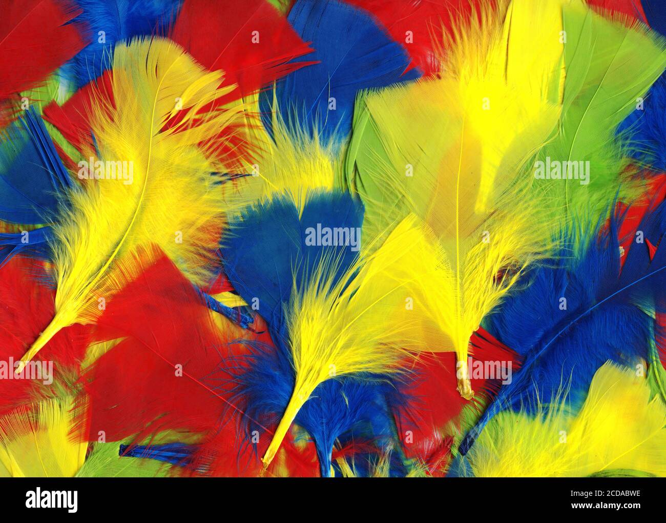 Papier d'arrière-plan à texture abstraite en plumes d'oiseau douces multicolores photo photo Banque D'Images