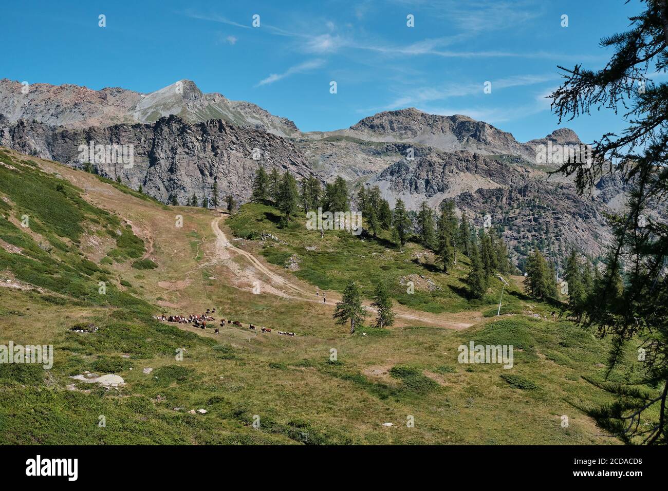 Trekking pour le lac de la Vercoche dans la Valle d'Aoste, Italie Banque D'Images