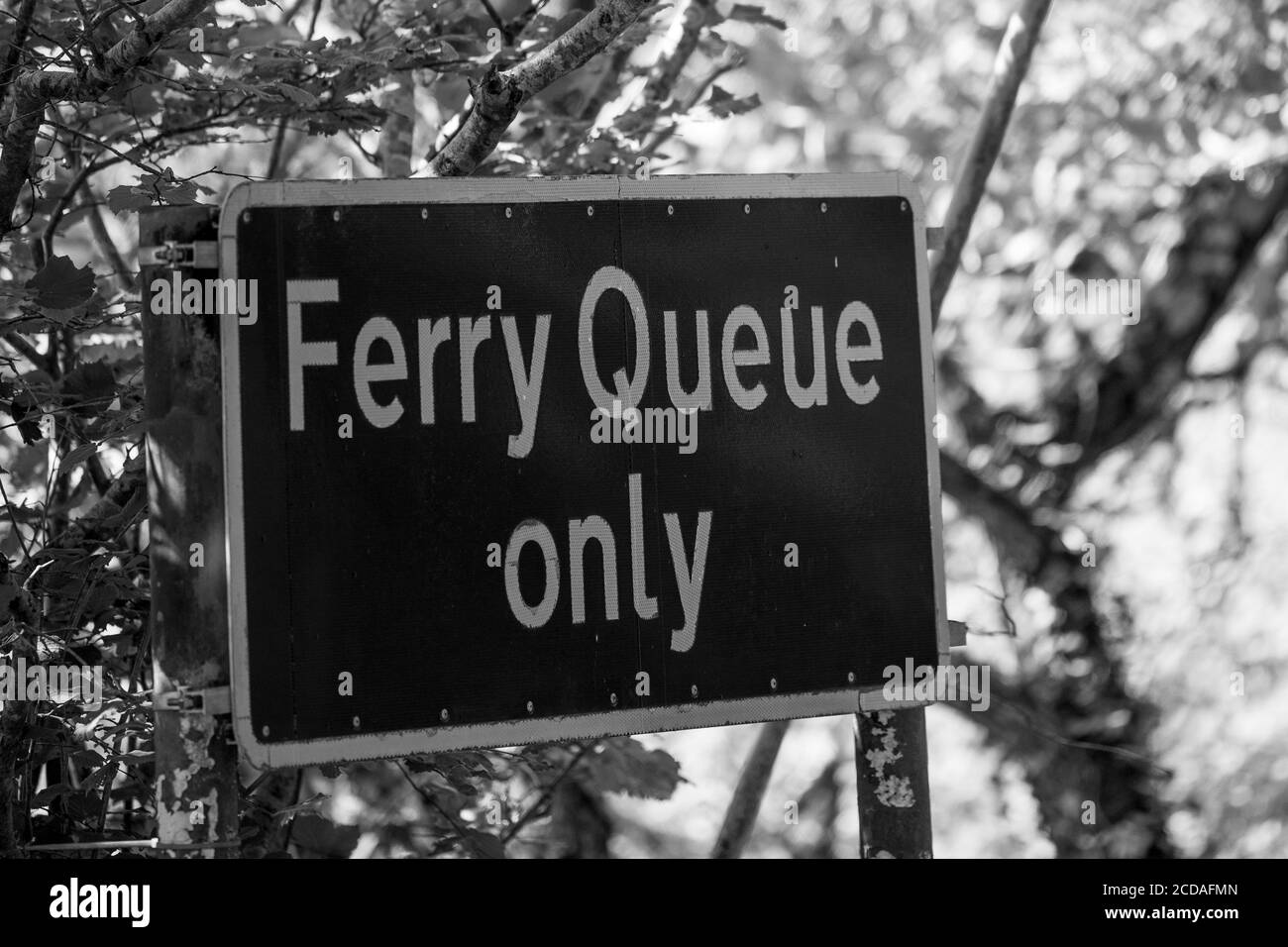 Le ferry King Harry sur la rivière FAL à Cornwall, en Angleterre Banque D'Images