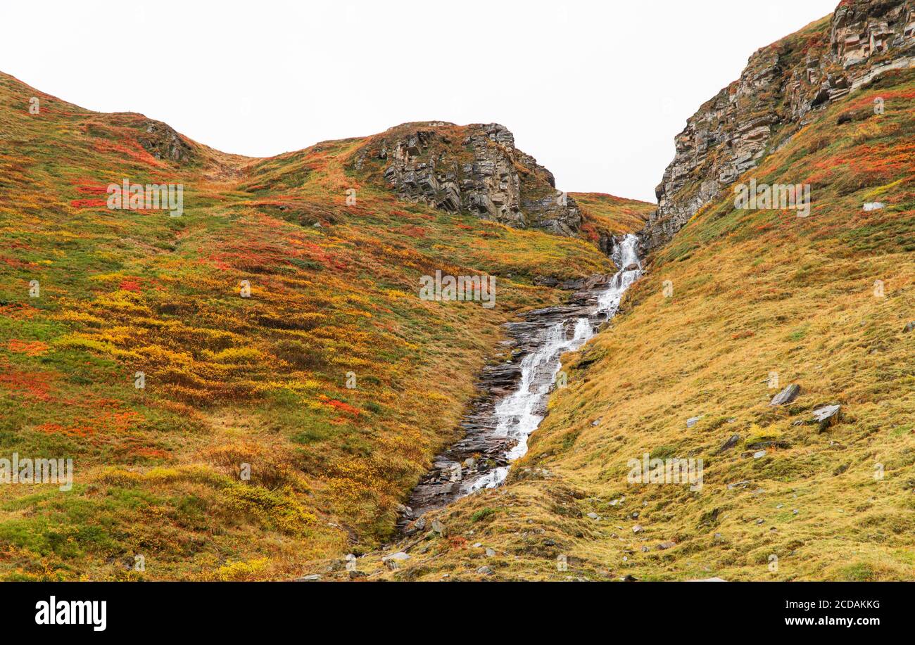 Toundra alpine colorée traversée par un petit ruisseau Banque D'Images