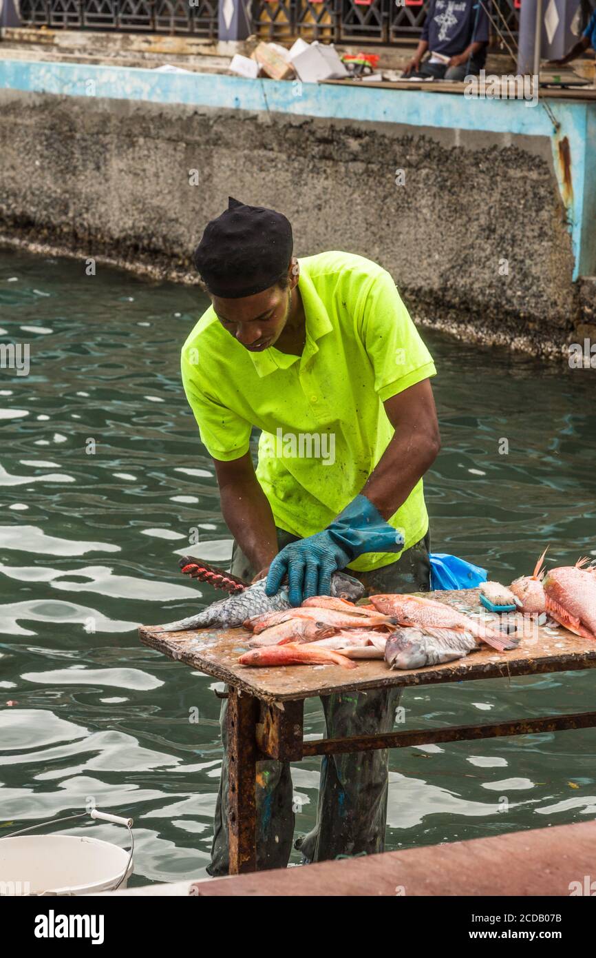 Un homme nettoyant poisson en vente sur le marché de la Promenade point-a-Pitre, Guadeloupe. Il enlève les balances avec un bâton avec les bouchons de bouteille de bière a Banque D'Images