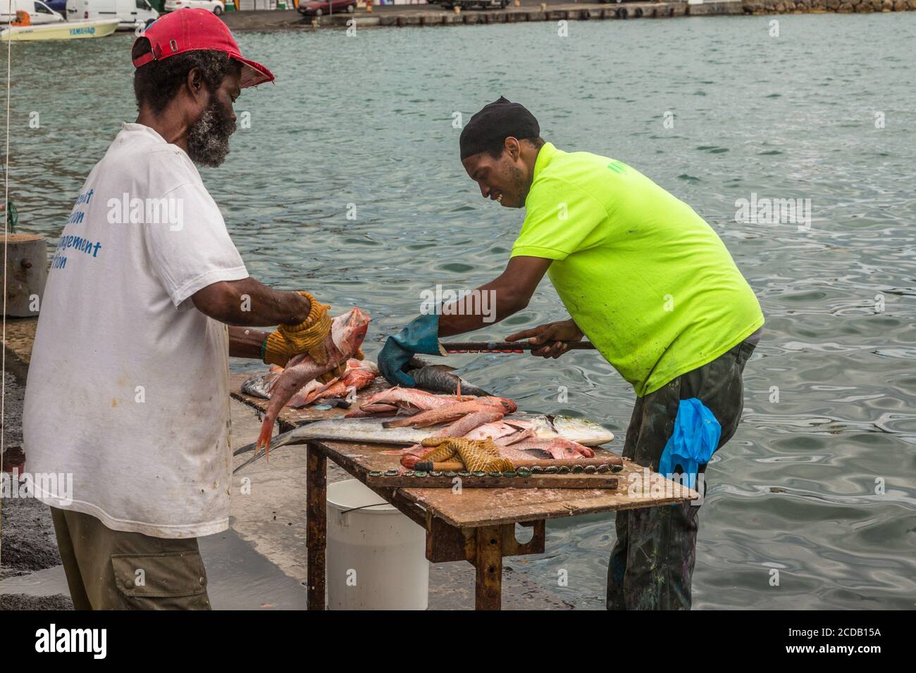 Deux hommes nettoyant le poisson en vente sur le marché de la Promenade point-a-Pitre, Guadeloupe. Ils sont en retrait de la balance avec un bâton avec une bouteille de bière Banque D'Images
