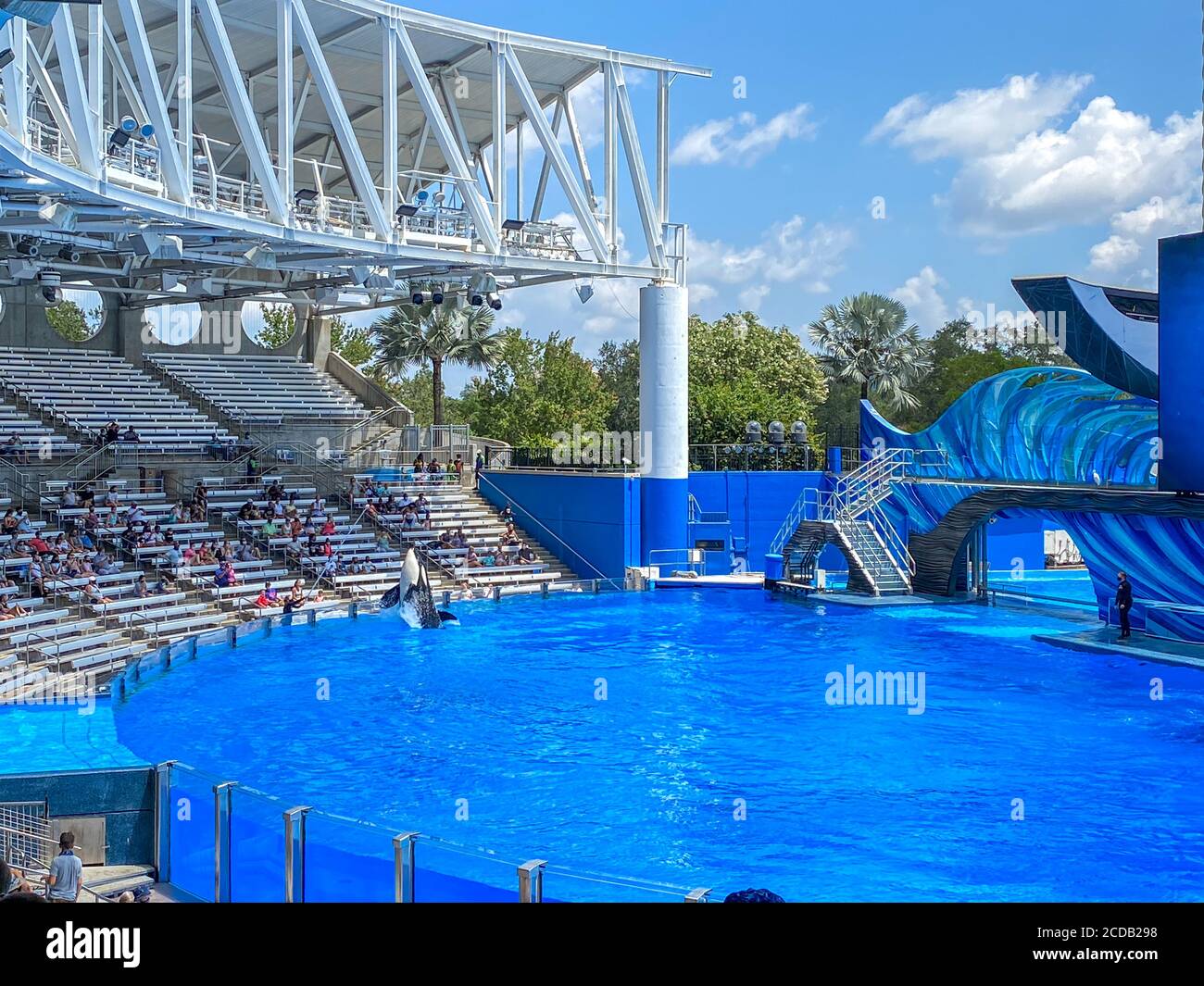 Orlando, FL/USA-7/12/20: L'exposition Orca ou Killer Whale à SeaWorld, Banque D'Images