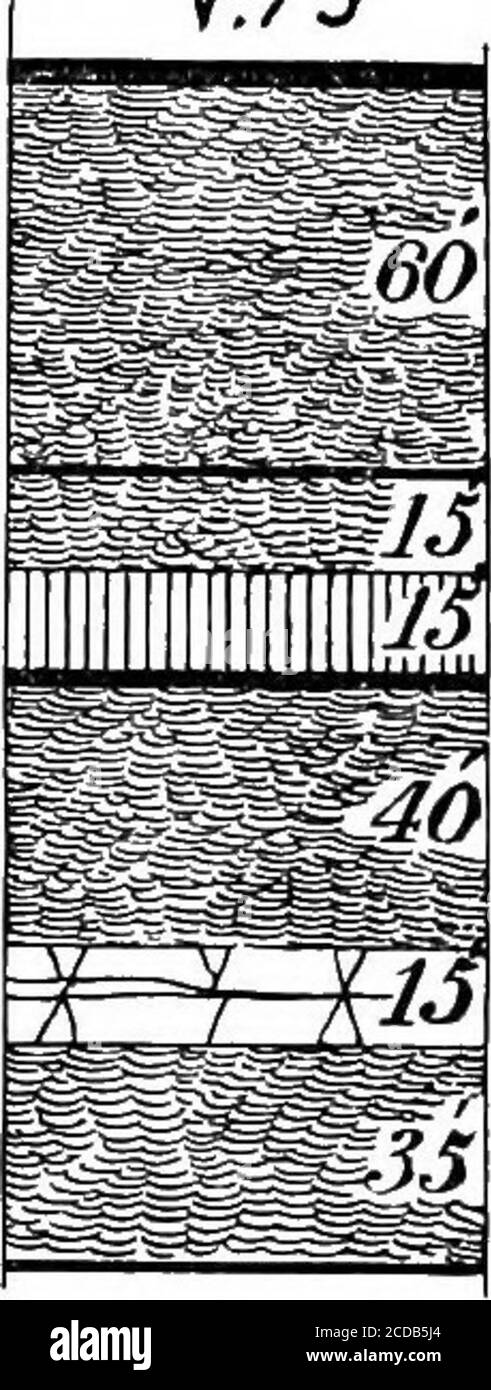 . Rapport d'activité 1874-1889, A-Z .. . ank a été visité son embouchure a été fermé et aucun examen du lit n'a pu être fait. À une courte distance au nord de la résidence de M. McKees, le calcaire ferriferous est extrait et brûlé. Près de dix pieds de la pierre est exposée, et du caractère hors récolte il est sûr de dire que le lit est trois ou quatre feetépais. La carrière est ancienne et produit très bonne lime, mais le four est neuf, ayant été construit tout récemment. Ni le Scrubgrass ni le lit de charbon Clarion ne sont ex-posés dans ce voisinage, et le lit de Brookville est coupé par le grès de Homewood, t Banque D'Images