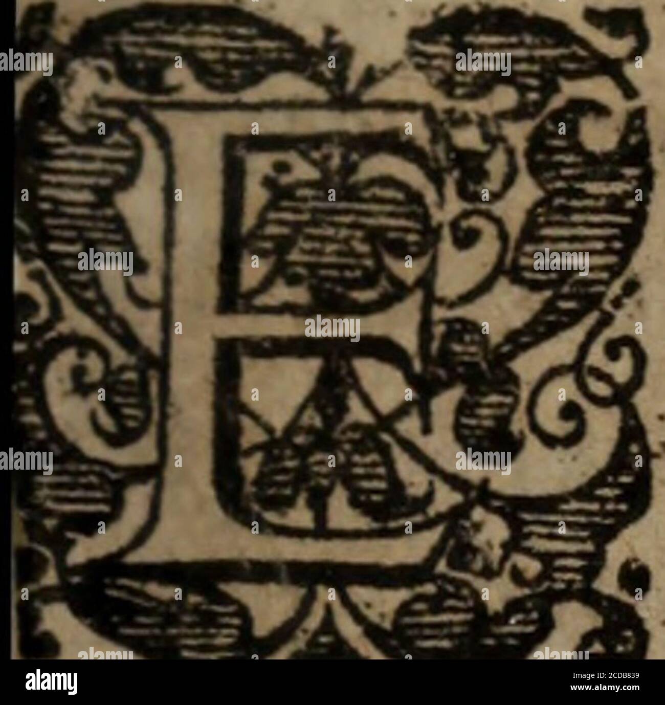 . Ulyssea, ou, Lysboa edificada : poema heroyco . 6rem quando ucftirdes as grauadasArmas, cuoflo nome esclarecidoTremolando em bandeiras deípregadas*5e hu m Polo, a outro Polo for temido:Ciuando, rompendo o mar bosque de ... armadas,rrema ante uostugadas*5e hu u m Polo, a outro Polo for temido:Ciuo:Ciuedo muños de Muñas, ropendo o de muñas de muñas de u de u de opprimidòDutra. (te* iwr-. ???«**•:. AO Príncipe (Dom Theodafio*noflòfenhor* Ste poemi Eeroicóda VlyíTe^ .eue muita-^,parte nas fortunas de Vlyítesque taõbem na terra ba nau-frágios lemelhãtesaos do marcasdesgra-f as de Vlyfes foraõ de leas de leas^leas Banque D'Images