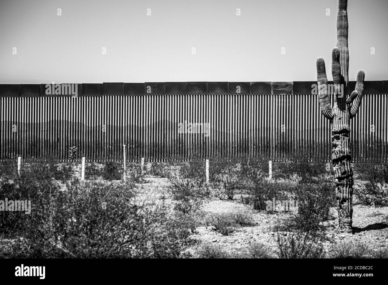 Mur de bordure en acier entre les bandes de Sonora et d'Arizona dans le désert de l'autel, Sonora, Mexique. L'extension du mur par le gouvernement de Donald Trump aux États-Unis pose des problèmes au passage de la faune à la frontière et dans les réserves naturelles. Mur, clôture. (Photo: Luis Gutierrez par NortePhoto.com) Muro fronterizo de acero entre las franjas de Sonora y Arizona en el desierto de Retar, Sonora, Mexique. La ampliacion del muro por parte del gobierno de Donald Trump en los Estados Unidos trae consigo problemas del paso de faune en la Frontera y las reservas naturales. Muro, barda. Banque D'Images