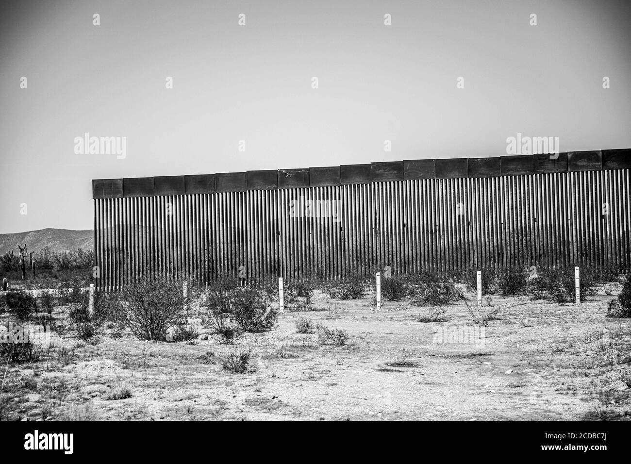 Mur de bordure en acier entre les bandes de Sonora et d'Arizona dans le désert de l'autel, Sonora, Mexique. L'extension du mur par le gouvernement de Donald Trump aux États-Unis pose des problèmes au passage de la faune à la frontière et dans les réserves naturelles. Mur, clôture. (Photo: Luis Gutierrez par NortePhoto.com) Muro fronterizo de acero entre las franjas de Sonora y Arizona en el desierto de Retar, Sonora, Mexique. La ampliacion del muro por parte del gobierno de Donald Trump en los Estados Unidos trae consigo problemas del paso de faune en la Frontera y las reservas naturales. Muro, barda. Banque D'Images