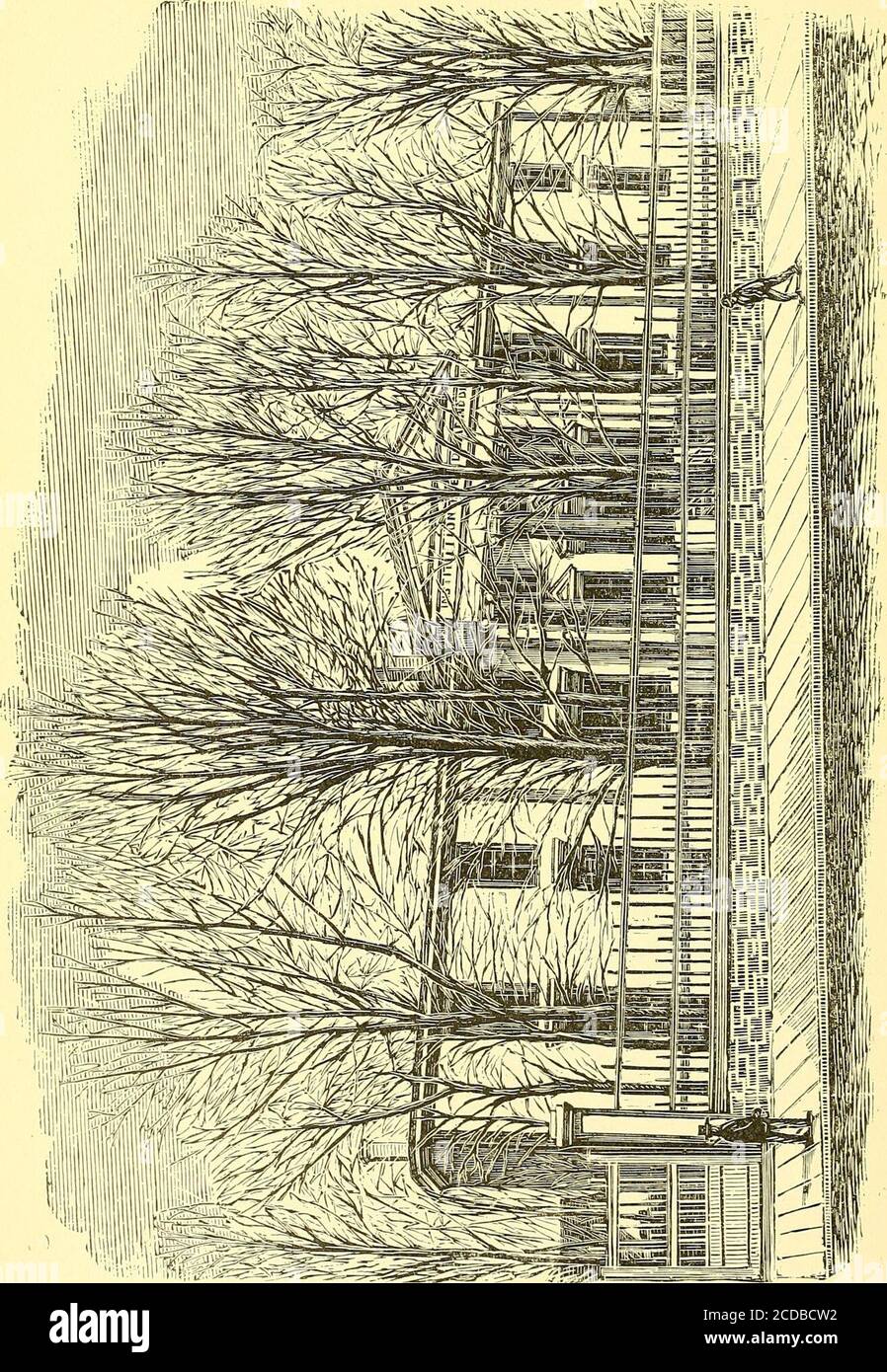 B J Nova Banque D Image Et Photos Alamy