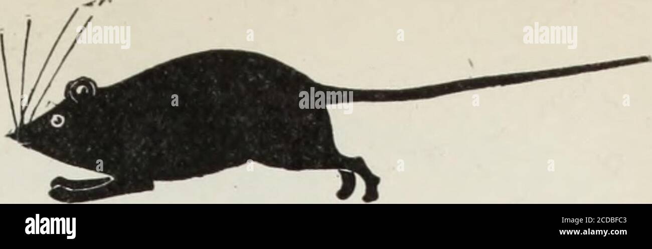 s ils te disent que je suis tombe banque d image et photos alamy