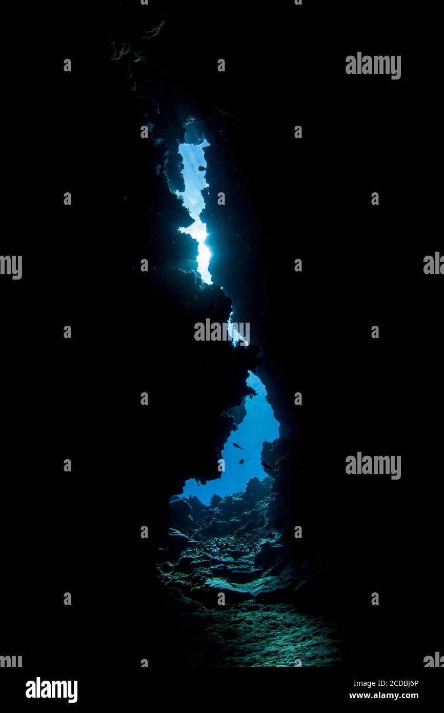 La lumière du soleil se filtre dans une grotte sous-marine sombre de la République des Palaos. Les récifs coralliens spectaculaires et variés des Palaos regorgent de grottes et de cavernes. Banque D'Images