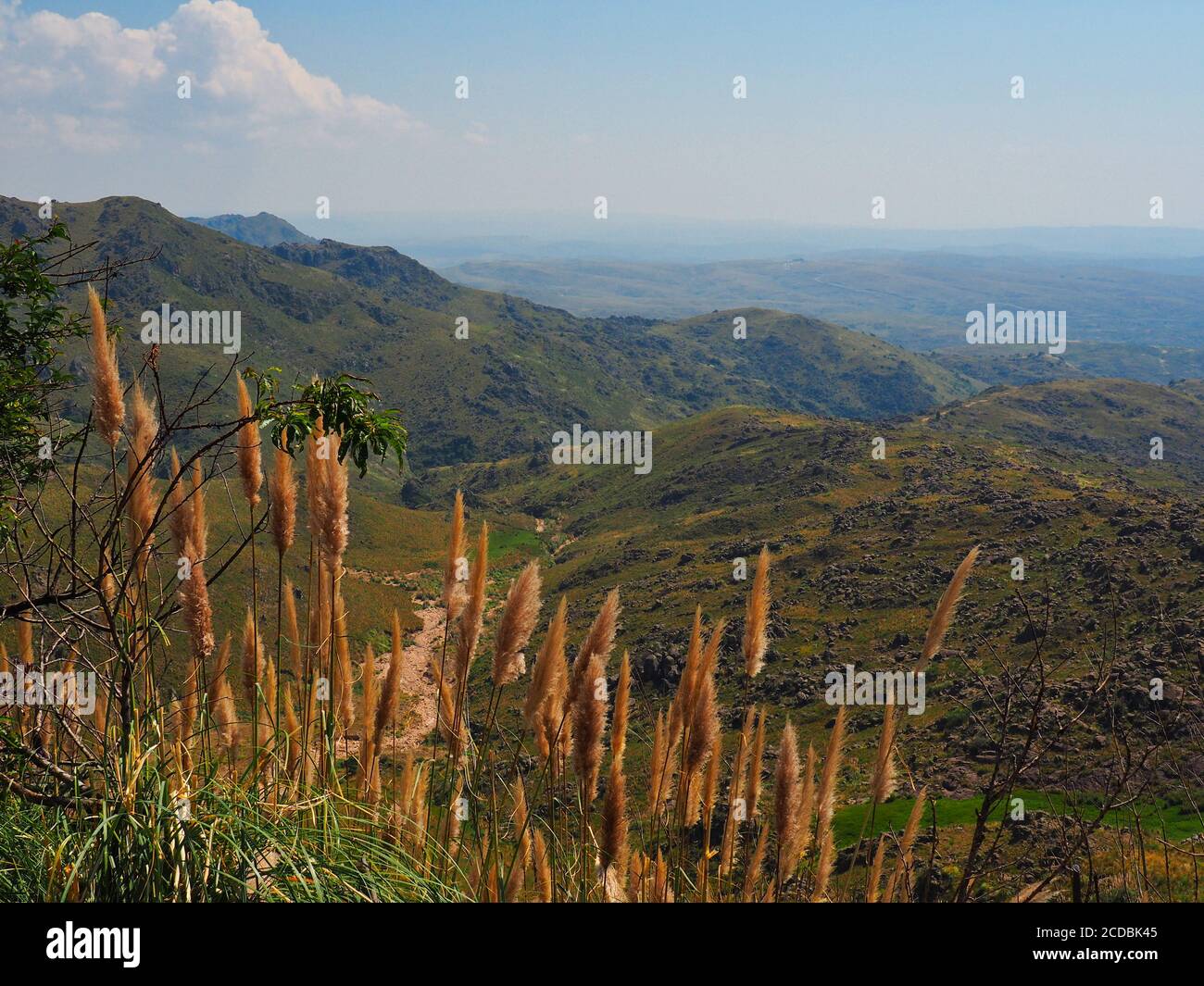 Paysage accidenté de la province de Cordoue, Argentine Banque D'Images