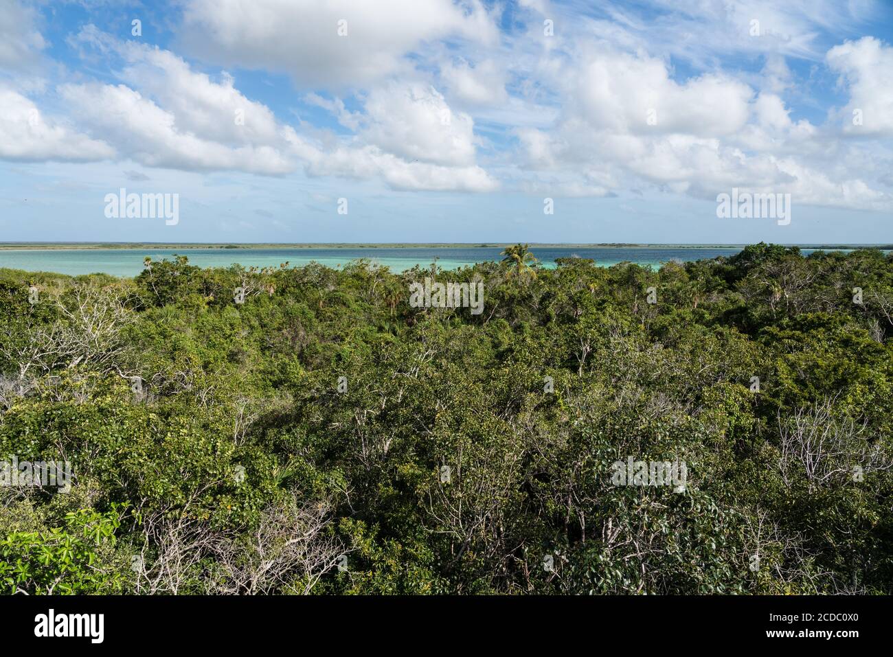Vue sur le lagon de Muyil et la forêt la tour d'observation en bois dans la forêt tropicale de la Sian Ka'an UNESCO World Biosphere Rese Banque D'Images