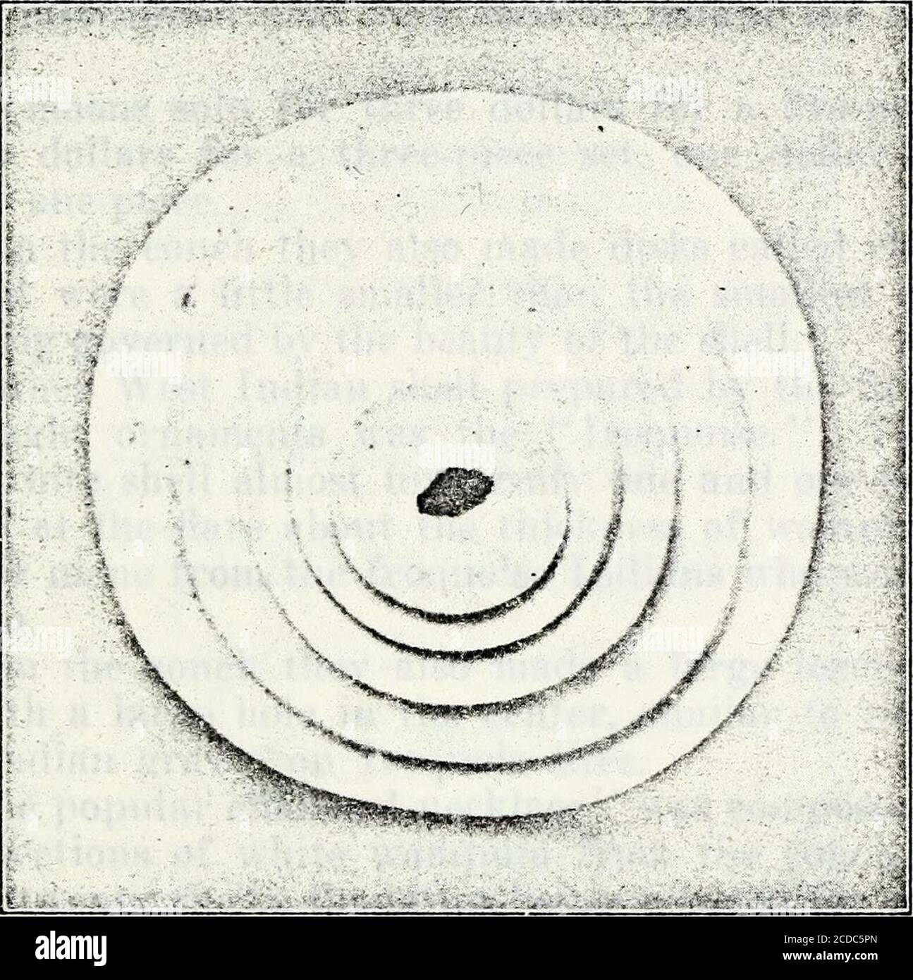 . Documents et actes de la Société historique du comté de Bergen . ) Les perles de wampum blanc n'étaient que la moitié de la valeur du noir. LE WAMPUM MOOXS. Les conques, d'où ils ont été faits, ont été emmenés des ports ouest-indiens comme ballast aux docks de NewYork, cinq et dix mille à la fois et ont vendu à la société. Ils ont été chargés sur la rivière Hackensack, puis emmenés à New Milford, le chef de la navigation, puis à bord d'un wagon jusqu'à Pascack. Depuis les ponts des boucles et du quai. Des Moons finis. De nombreuses coques ont été volées. Cela représente le grand nombre trouvé dans les vieilles maisons et le long de g. Banque D'Images
