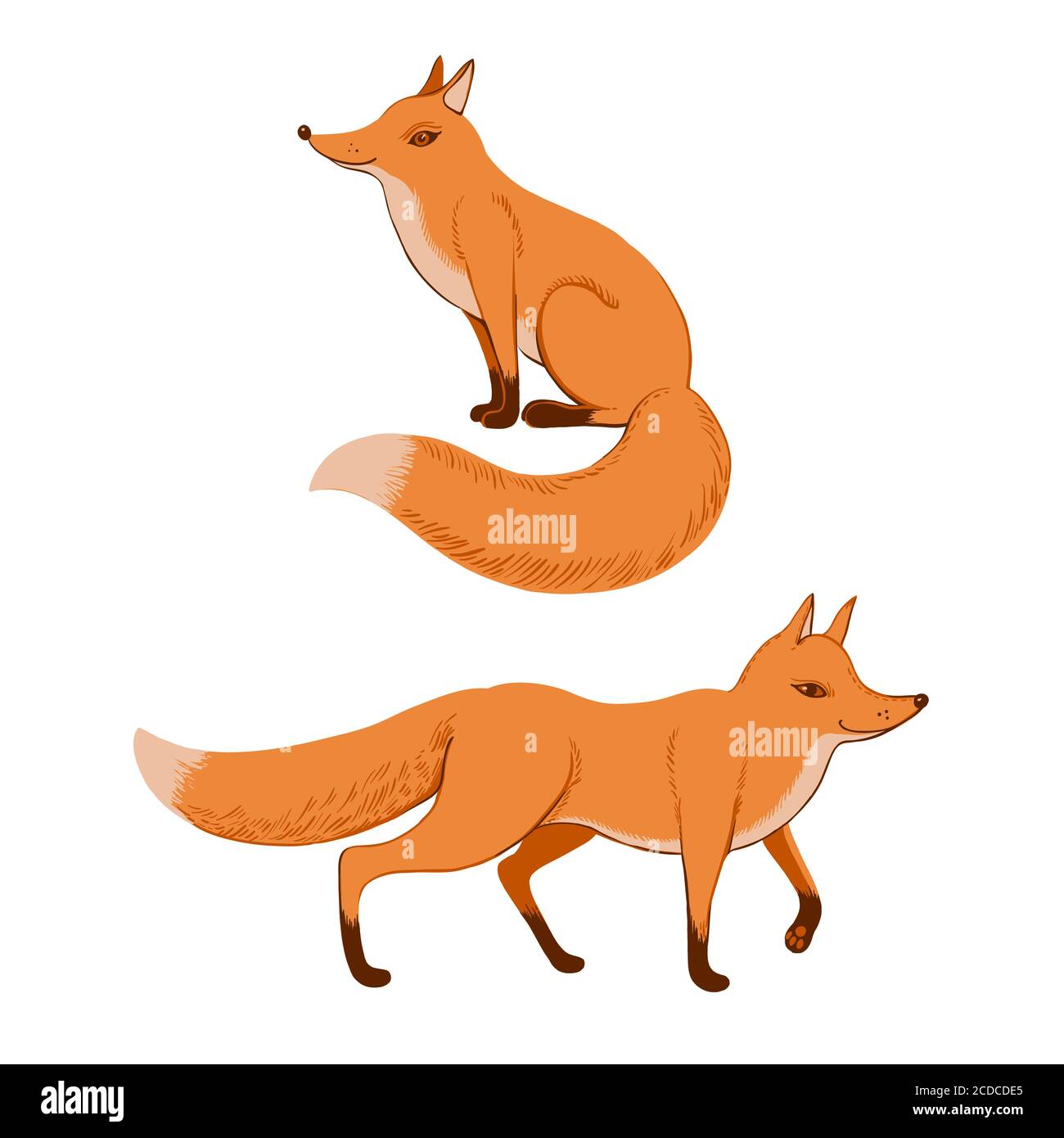 Joli renard de gingembre rouge assis et debout Illustration de Vecteur