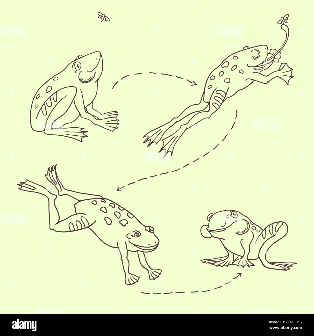 Ensemble de grenouilles mignonnes sautant et attrapant une mouche Illustration de Vecteur