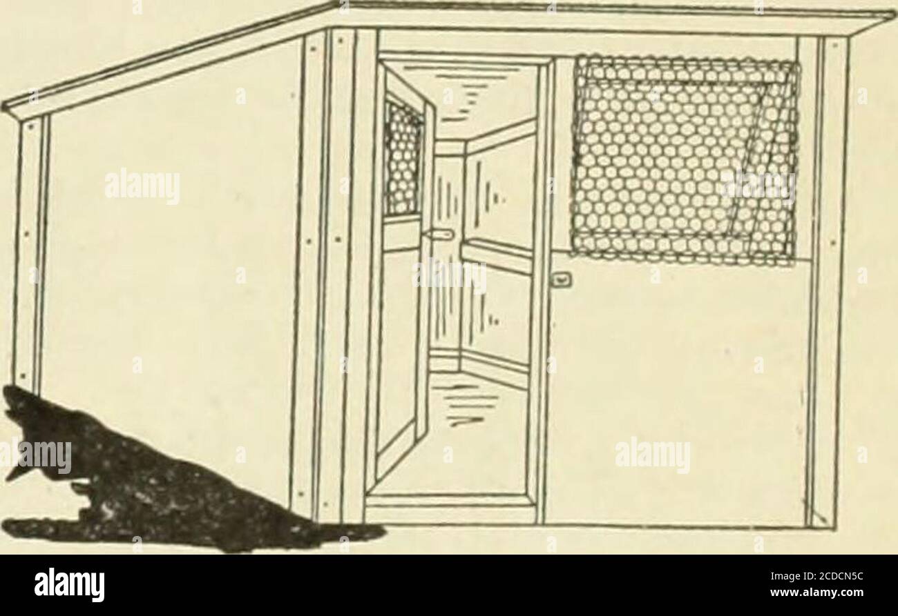 . La ferme-volaille . Coop et Yard pour Hen et poulets, 2 $. TAILLE 60x21 x2l POUCES. 6 pi. i 8 FF. Portable House, S15.00. Maisons portables et de colonie. Bouteurs d'avoine. Shippingand Training Coops, Trap nids, grain ClieBts, etc. Écrire pour libre circulaire montrant 20 coupes différentes. E. C. YOUNG BOX CO. Randolph. Mass. Pittsl»iii*0h Perfect la clôture de poulet la plus efficace et la plus économique économisez de l'argent en mettant PITTS-BURGH PERFECT Chicken and Rab-bit Fence. Pas un filet, mais et de la ficedu maillage le plus fin, le plus fort fabri , le meilleur look, la plus longue durée de vie. Ces caractéristiques signifient clôture-économie et la satisfaction dans le bi Banque D'Images