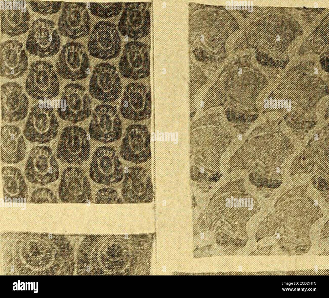 . Théorie et pratique de l'enseignement de l'art . SSESKJK IFA 1G & m FIG. 43.—EXERCICES DE COULEUR. IMPRESSION DE BLOCS DE BOIS. PAPIERS D'EXTRÉMITÉ, UNE COULEUR SUR PAPIER TEINTÉ. 46 théorie et pratique de l'enseignement des applications d'art impression avec des blocs de bois.1 comme l'harmonie des couleurs dépend d'un bon espacement, d'un bon massingdes requins et des lumières, et d'un équilibre des intensités, il est évidence que l'étudiant a besoin d'une occasion d'essayer de nombreuses façons d'arrangecouleurs et de masses. Choisir la répétition rythmique comme le prin-ciple avec lequel essayer un ensemble d'expériences, une unité est designedet coupé sur un bloc de bois. En imprimant cette figure dans differentarr Banque D'Images