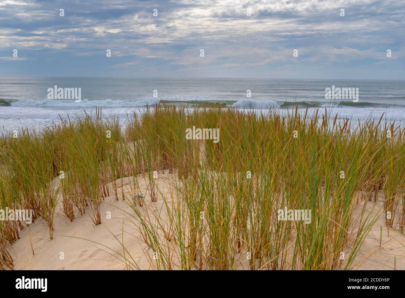 Vagues de l'océan se brisant sur une plage vide sur la côte française. Prise de l'herbe derrière les dunes pendant l'été avec un ciel couvert Banque D'Images