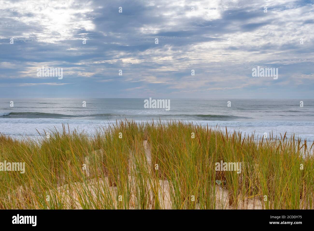 Vagues de l'océan se brisant sur une plage vide sur la côte française. Prise de l'herbe derrière les dunes pendant l'été avec un ciel couvert Banque D'Images