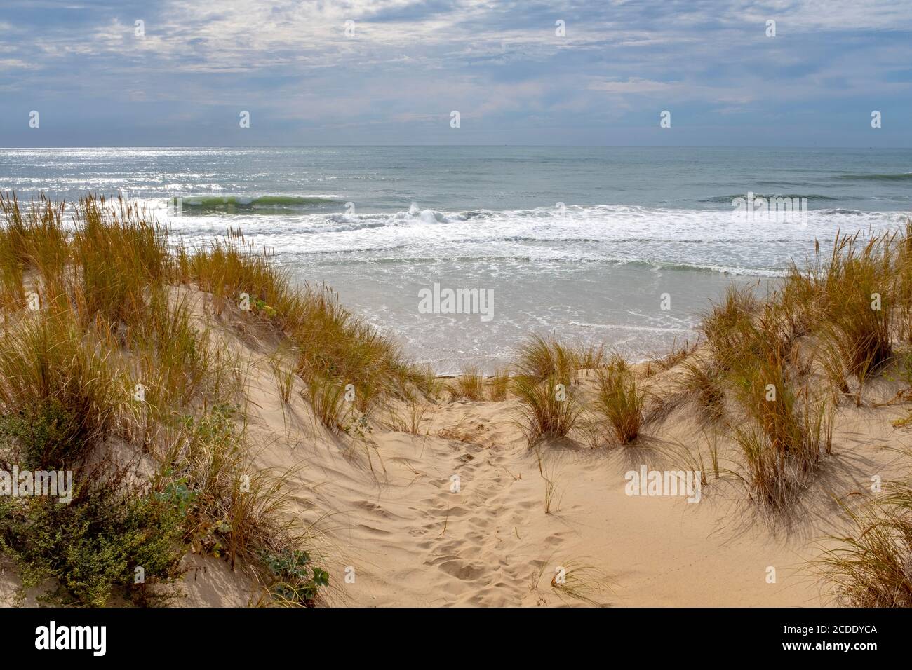 Vagues de l'océan se brisant sur une plage de l'Atlantique vide sur la côte française. Prise d'un petit chemin en été à la fin de l'après-midi Banque D'Images