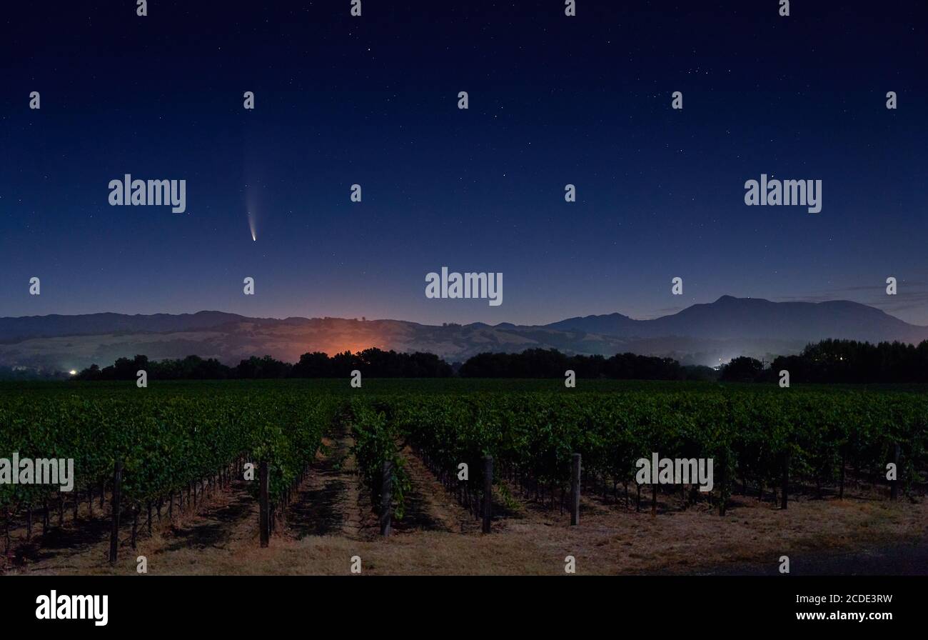 Comet Neowise dans le ciel nocturne en juillet vu d'un vignoble rural à Healdsburg avec le mont Sainte-Hélène en arrière-plan. Banque D'Images