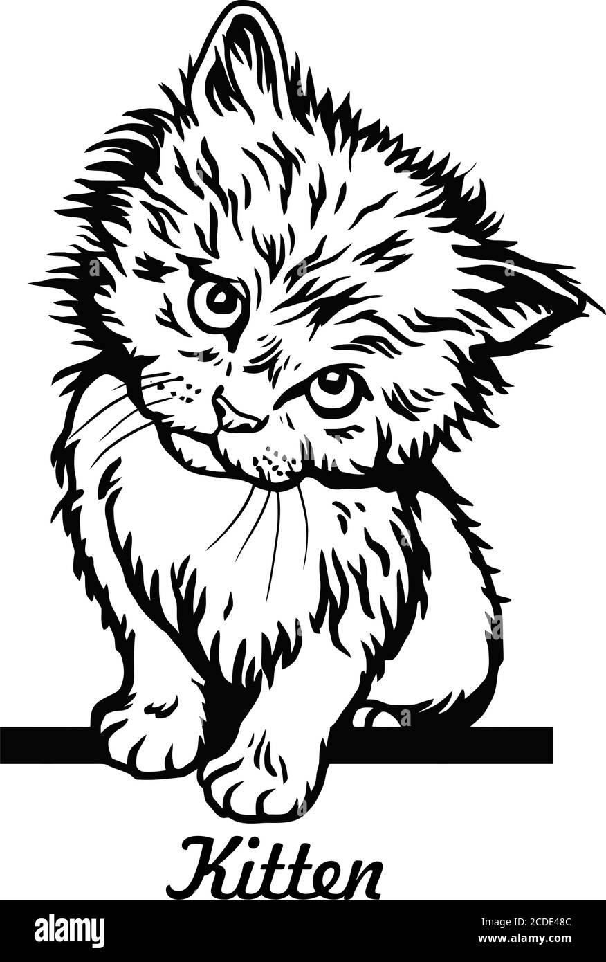 Mignon chaton assis sur la ligne - gai chaton isolé sur le papier vecteur blanc Illustration de Vecteur