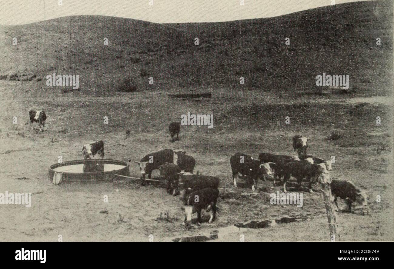 . Examen des revues et du travail du monde . Un CHAMP DE BLÉ EN 1905 (aujourd'hui seizième rue, Oklahoma City. Plusieurs résidences de 10,000 $. Moins cher dans la rue, J3000) mobile n'est nulle part mis à plus pratique que sur les longues routes lisses des plaines.A cattleman a acheté un roadster $3500 à SanAntonio l'autre jour. J'en ai besoin pour visiter mes stations de navigation, a-t-il dit. A quel intervalle ? Je pame à partir de cinq stations et elles sont à environ dix-huit milles de distance. Mais il est l'un des rares grands propriétaires de terres qui restent et leurs ranchs seront bientôt décomposés en plus petites exploitations. CHANCE ÉCONOMIQUE ET COMMERCIALE Banque D'Images