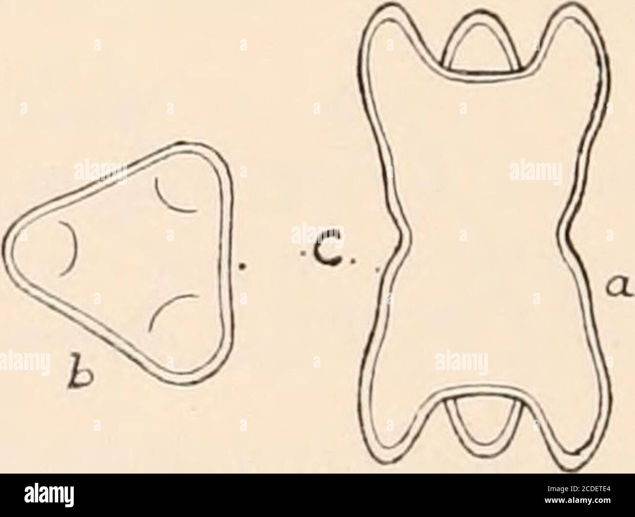 X E1 Banque D Image Et Photos Alamy