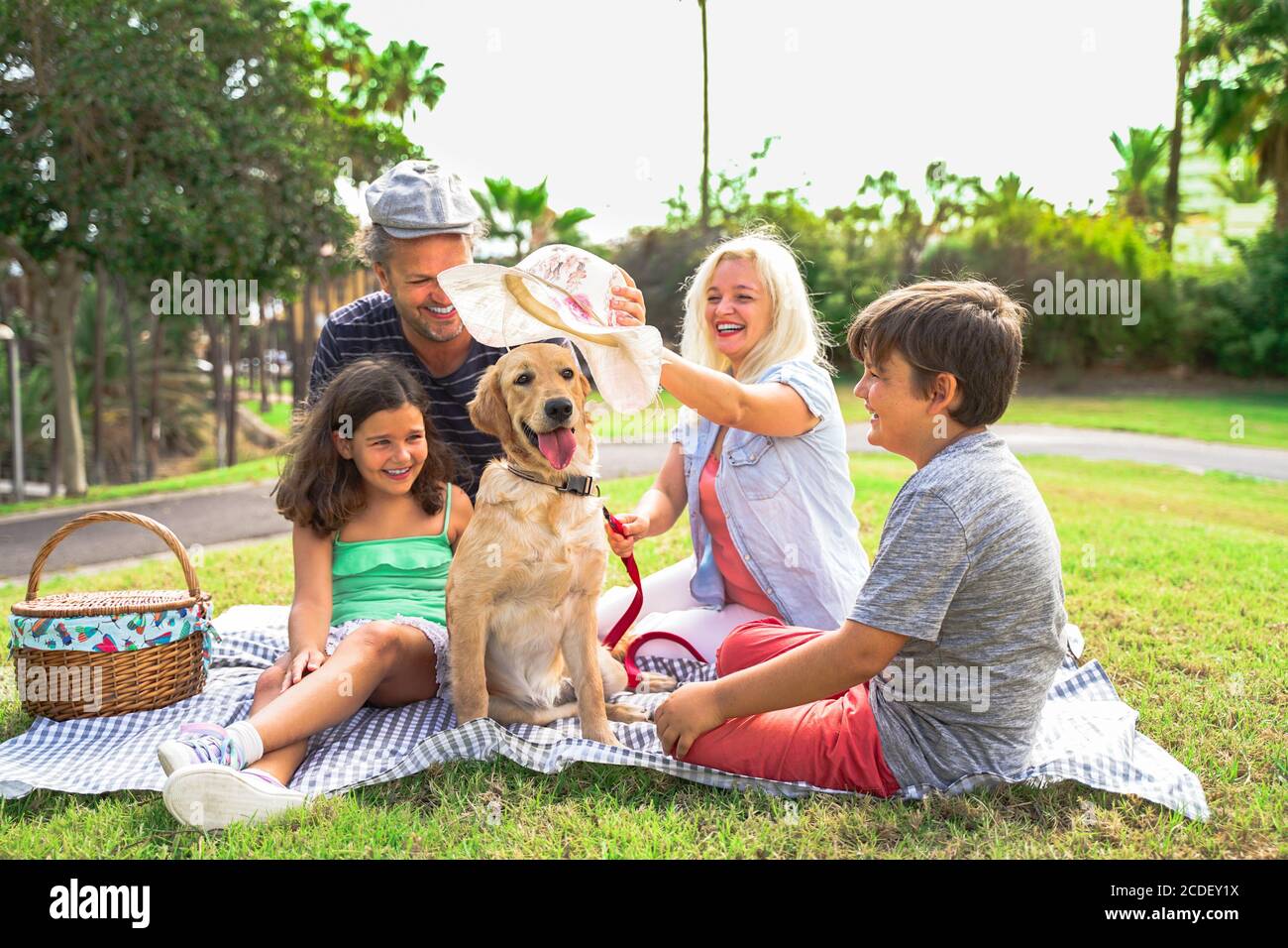 Famille jouant avec le chien. Belle journée dans le parc. Bonne famille faisant pique-nique dans la nature en plein air. Mettre au point le chien - image Banque D'Images