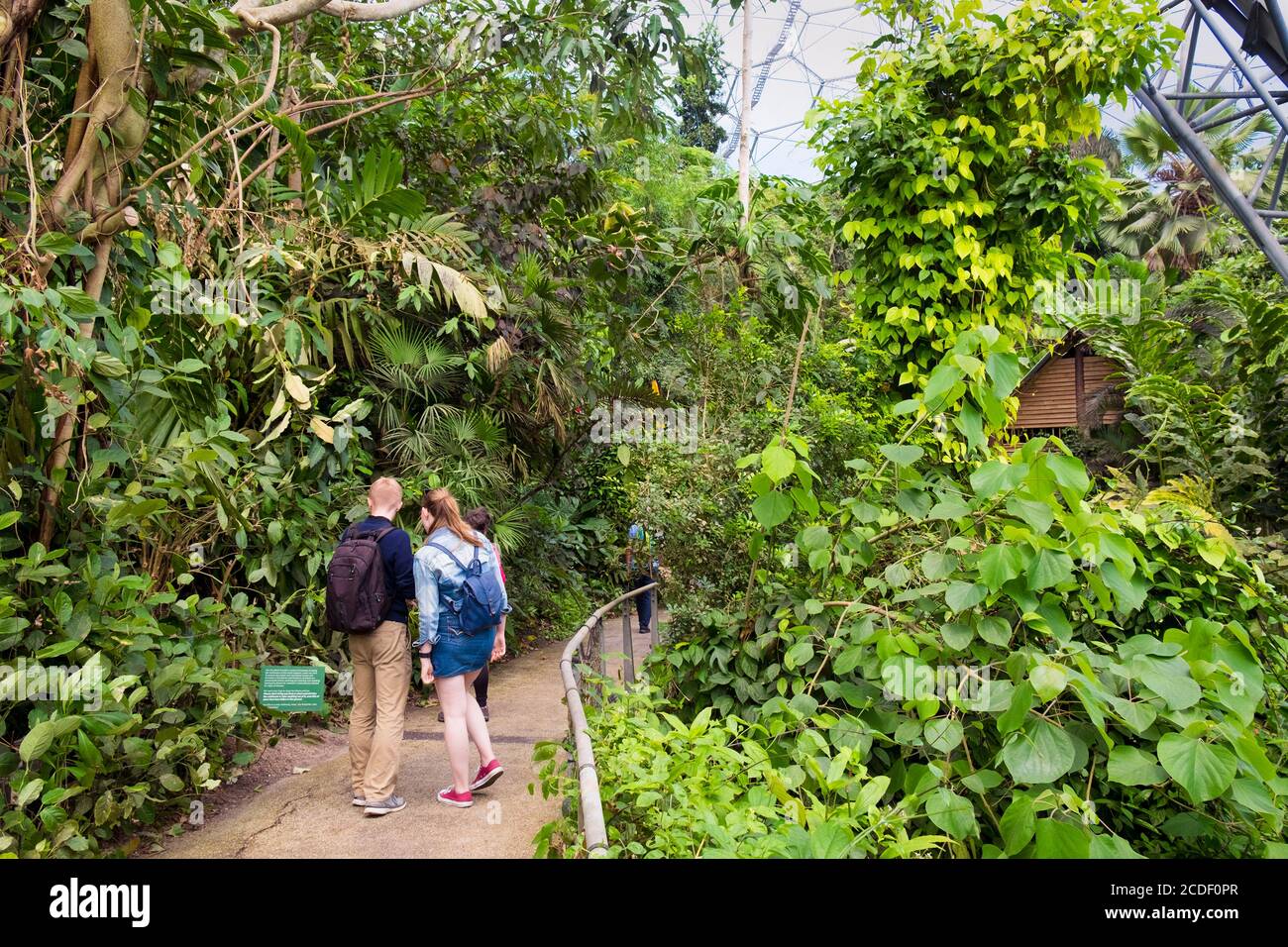Visiteurs à l'intérieur des dômes biomes géodésiques de la forêt tropicale à l'Eden Project une attraction touristique dans les Cornouailles. Banque D'Images