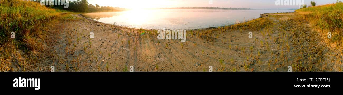 panorama du lac d'été avec de jeunes plantes Banque D'Images