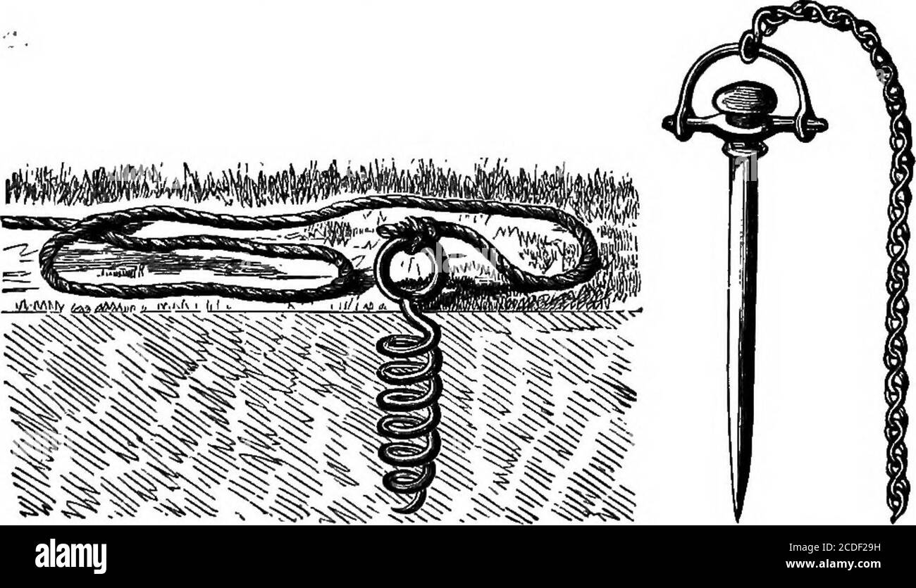 . Le manuel du dairyman. Un traité pratique sur la laiterie .. . al quantité du meilleur du fourrage, herbe jeune du genre le plus nutritif. La mowingd'un acre ou plus de verger, le fourrage de maïs doux, et les pommes de réserve, poires, betteraves, pois, carottes et po-tseal du jardin, avec l'herbe et le foin, tous pro-vided alimentation suffisante, avec le demi-boisseau de semoule de maïs et son hebdomadaire, Pour nourrir deux vaches de Jersey whichyielded plus de vingt livres de beurre chaque semaine dans la LAITERIE de FAMILLE addi-. 431 fcion à un approvisionnement libéral de lait et de crème pour la famille-ily pendant tout l'été. Verser les cinquièmes o Banque D'Images