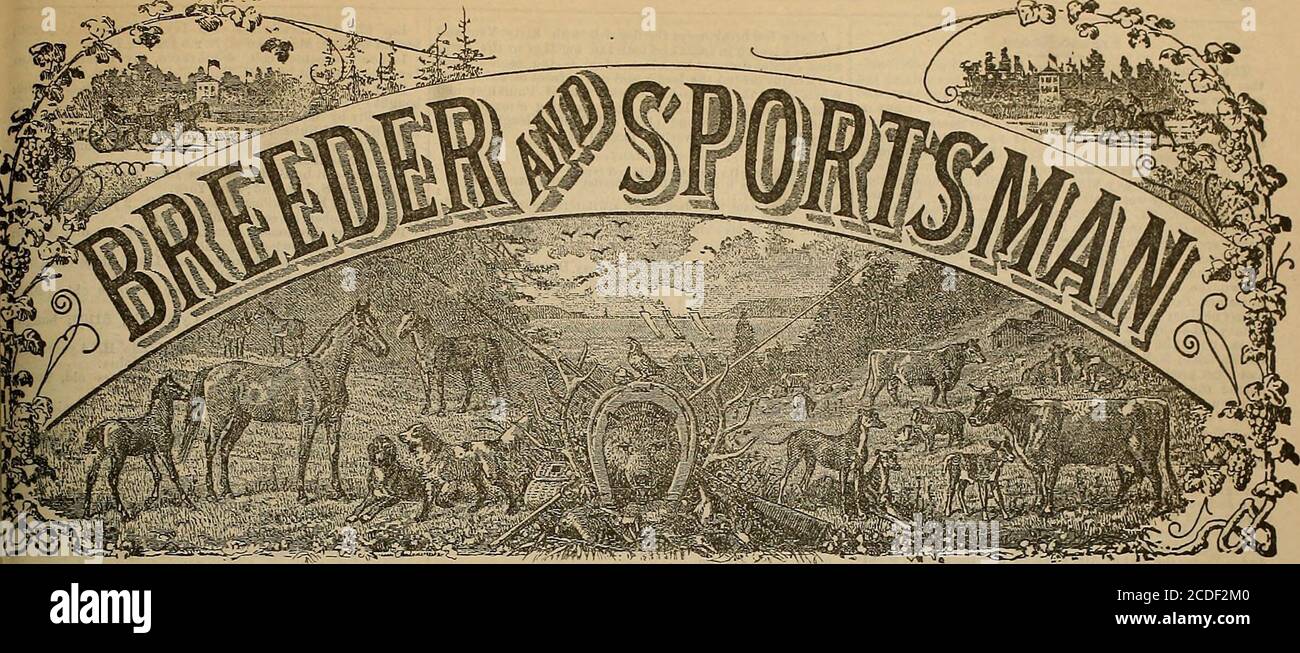 . Sélectionneur et sportif . le AG«nts pour les États-Unis et le Canada. Harare des imitations. Un seul style. 3 $, QQ per Bott J. C. N. Crit, Moseman r.OTTISVILT.E. KY. ; H. micro ?• si lenton, A. R. Van Nest & Co. Et 0,juoseman & Bto„ NEY7 YORK CITY. M.— risson, PLU_ier & Co., Peter Van SchaacK *. Donc*CHICAGO. ILL.JoDn D. pari. & son, CINCINNATI, O.: i ioyd o* rOlDETROIT, MICH.; P. S. Slosson. CLEVELAND, Meyer Bros. Drug- Co., ST. LOUIS, Mo.: R. A. RobinM QTO-RRT-RIM. r A 1. Nutwood Ill Sire Dawn m ? Barrage 1 barrage ou i Htratnvay (2-y-ol 1trial I Comtesse! ^r0^ TTlil » 2:18f; 2:20; 2:10*. $100 populaire PRI Banque D'Images