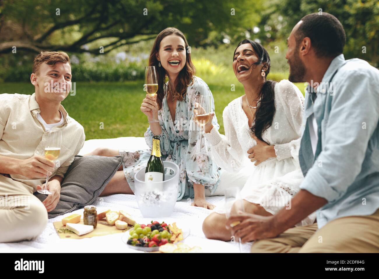 Groupe d'amis qui ont un bon moment sur le pique-nique au parc. Des jeunes heureux assis dans le parc parlent et sourient avec des verres à champagne à la main. Banque D'Images