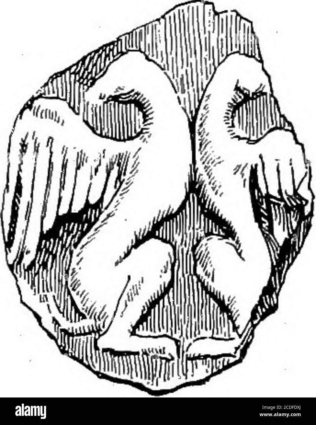 . Le palais de Minos : un compte-rendu comparatif des étapes successives de la civilisation crétoise ancienne comme illustré par les découvertes de Knossos . a b c Fig. 536. Contrés Griffins sur les empreintes du phoque en argile {a,b, Zakro; c, Knossos). Suggéré par une certaine forme d'aigle à crête et en même temps, l'apparition de la tête et du bec, tel que décrit ainsi dans l'art minoen, est celle d'aneagle plutôt qu'un faucon. Cet aspect du Griffin, il sera observé, ainsi que la crête, se recrie avec d'autres caractéristiques Minoan—les decorativechuiles et les panaches crantées des ailes—sur la hache trouvée à QueenAah- Banque D'Images