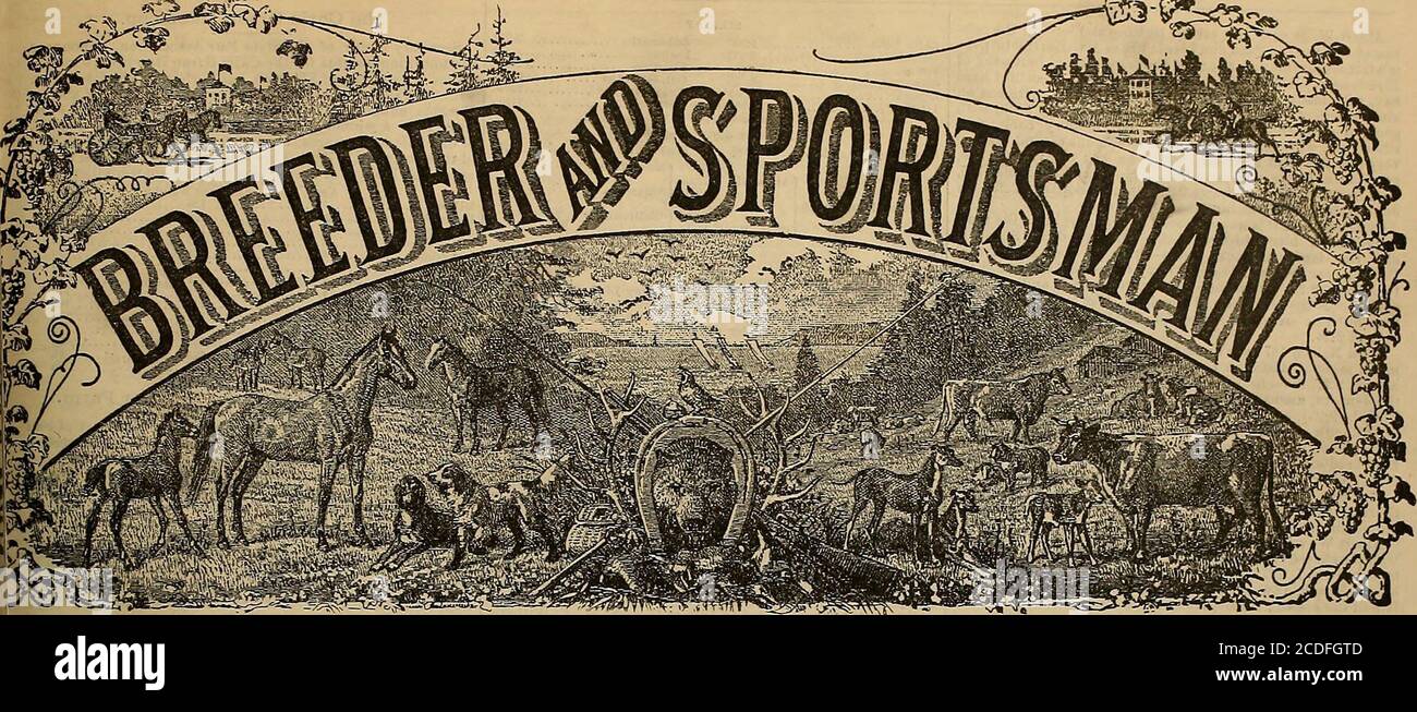 . Sélectionneur et sportif . Sire $100 OAWM UV 2:18f; 2:20; 2:19^ Prix populaire pour la saison 1890. Barrage CouutessJM00™.! Strath-iray IS-J 01 !•*Irlal 1:31 $10C pas d'élevage, et étant dépendant du pnblio pour le mécénat, j'ai fixé le bas prix ci-dessus afin d'être à la portée de n'importe lequel désirant se reproduire.bonne pâturages $3 par mois. Pour les autres partioolars, adresse A. L. WHITNEY, Petaluma. VINGT-POUR-PAGES. ^^HS. Vol. XVI Non 9.Ho. 313, RUE BUSH. SAN FRANCISCO. SAMEDI 1ER MARS 1890. Banque D'Images