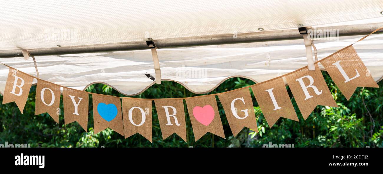 Drapeaux décoratifs suspendus d'une tente d'arrière-cour pendant une fête de bébé de révélation de sexe. Banque D'Images