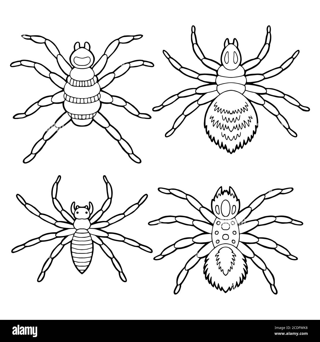 Ensemble d'araignées graphique noir blanc isolé esquisse vecteur d'illustration Illustration de Vecteur