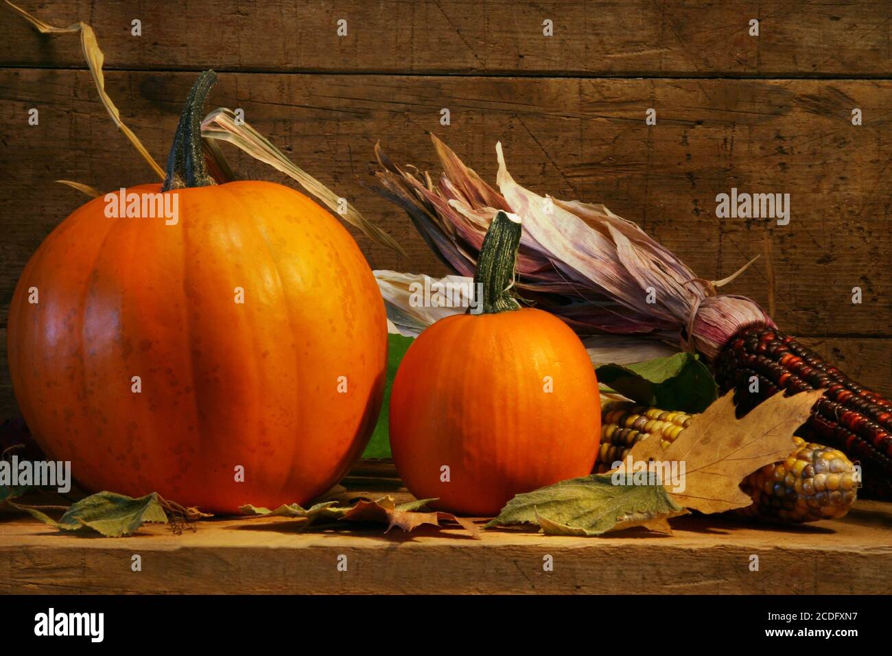 Deux citrouilles sur la tablette Banque D'Images