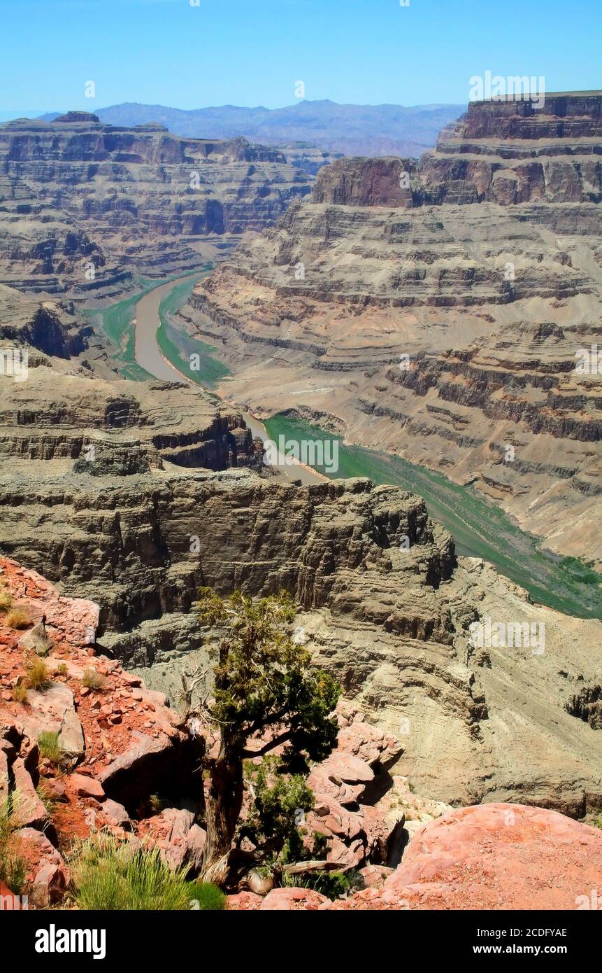 Plateau ouest du Grand Canyon, Arizona Banque D'Images