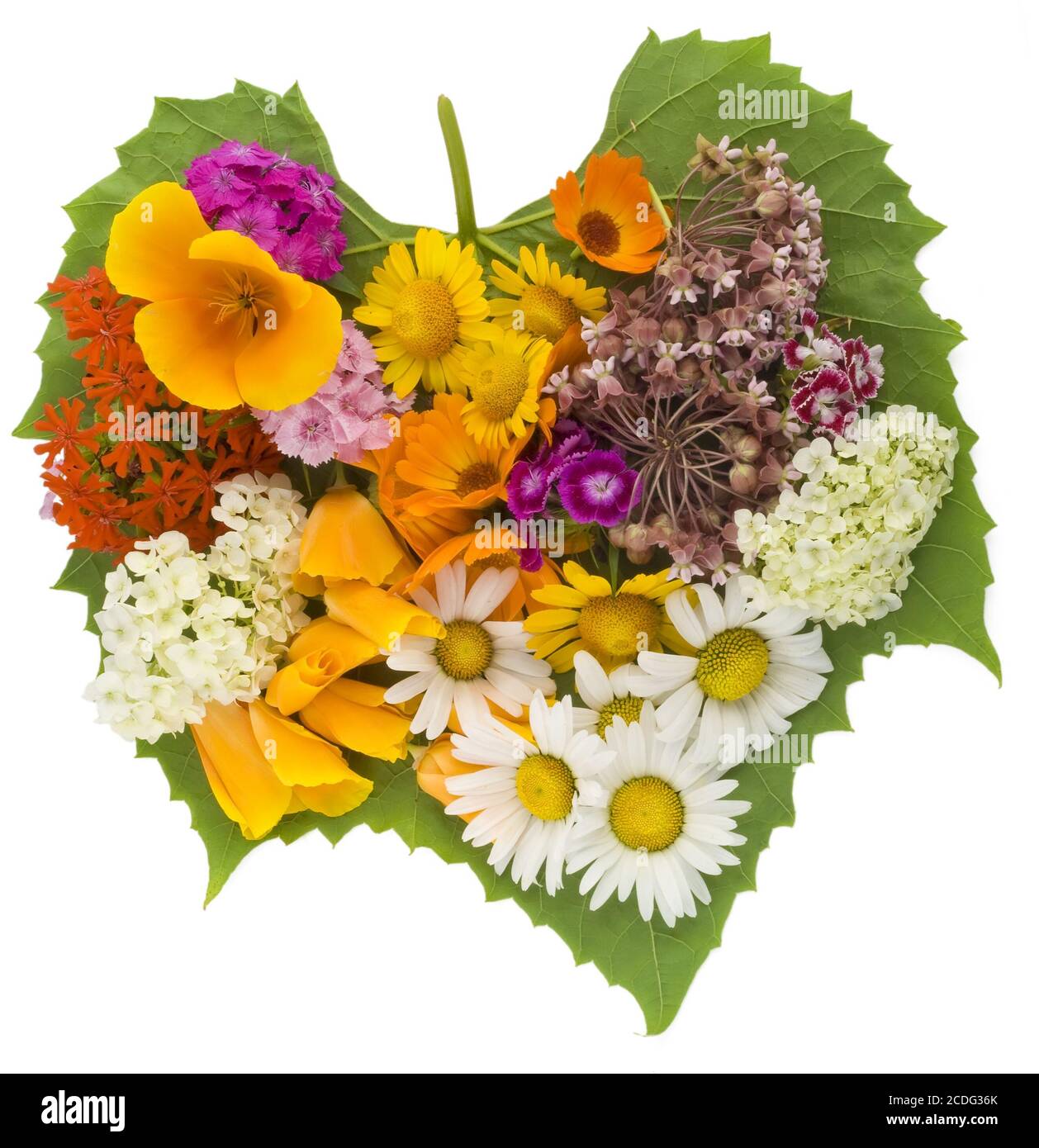 Coeur vert avec des fleurs Banque D'Images