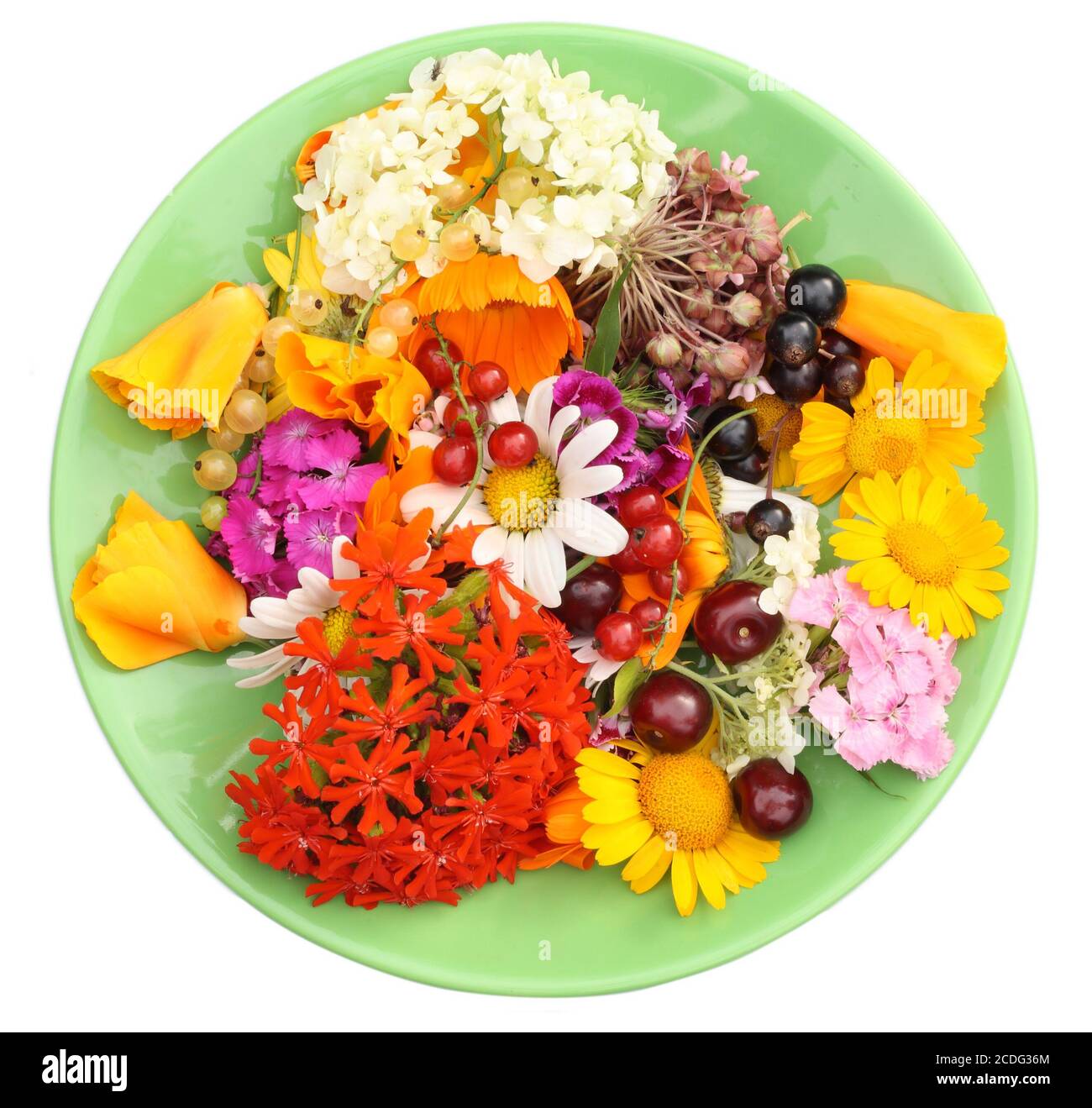 Assiette verte avec fleurs de jule Banque D'Images