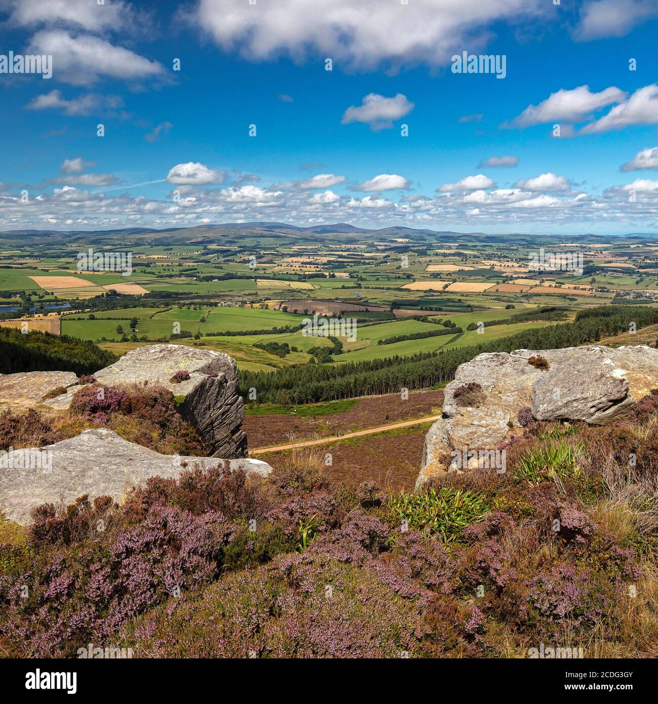 En été, vues sur les collines de Simonside, près de Rothbury, dans le parc national de Northumberland, Northumberland, Angleterre, Royaume-Uni Banque D'Images