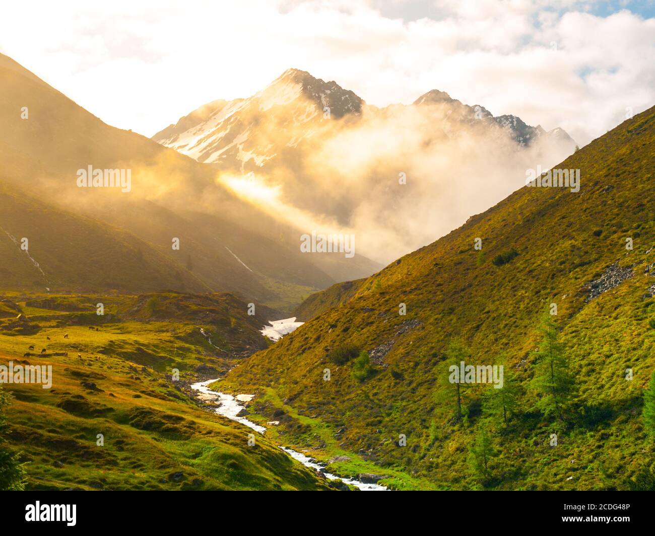 Matin dans la vallée alpine avec brume éclairée par le soleil levant, les prairies verdoyantes et la petite rivière, Autriche. Banque D'Images